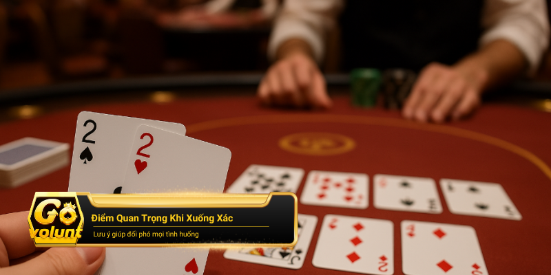 Lưu ý quan trọng khi đối thủ cũng có heo